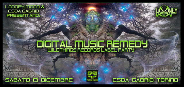 DIGITAL MUSIC REMEDY (Evp, Hoodwink live +Beardy djset) 13 Dec '08, 22:00