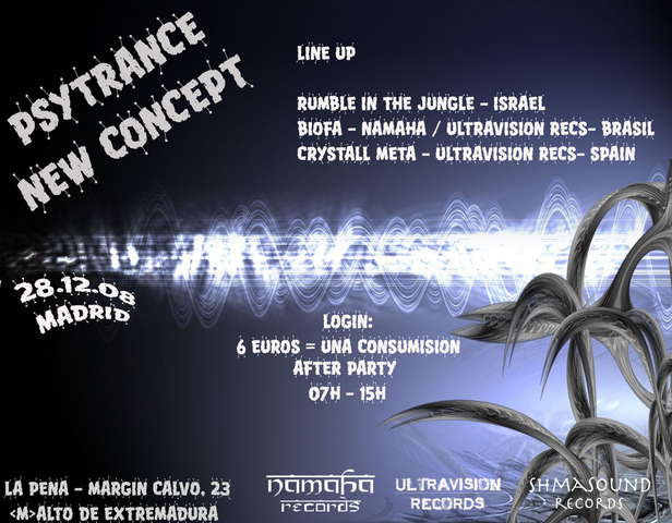 Party Flyer Psy Trance New Concept - After Party 28 Dec '08, 07:00