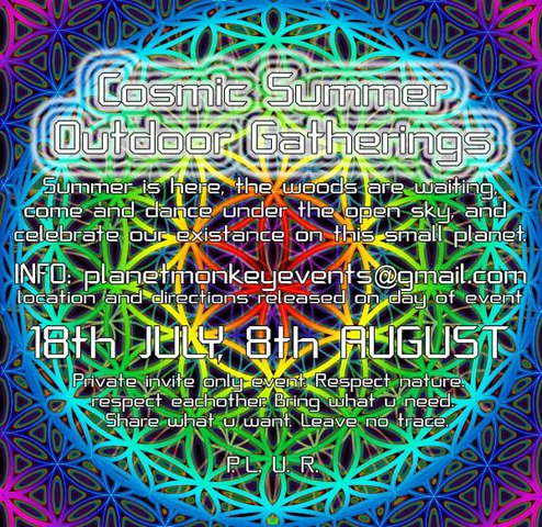 Party Flyer Cosmic Summer outdoor gathering 8 Aug '09, 13:00