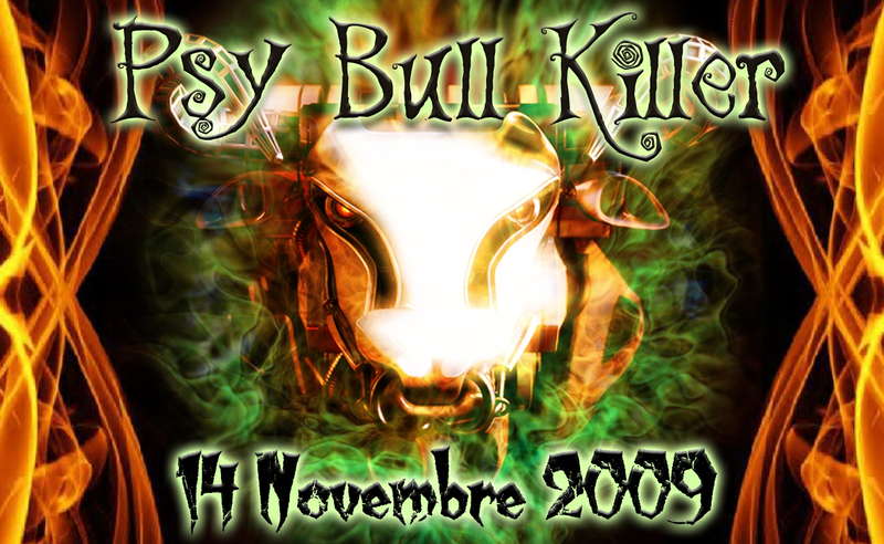 Party Flyer PsY BulL KiLleR 14 Nov '09, 23:00