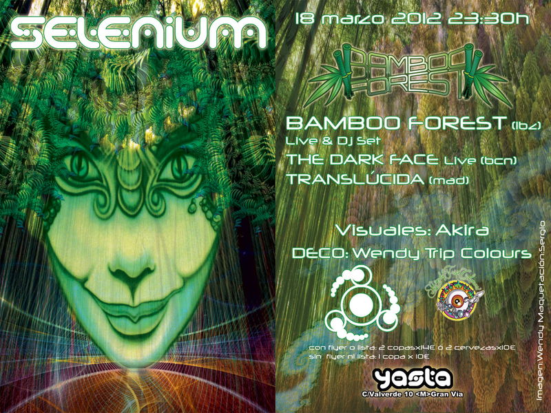 SELENIUM - BAMBOO FOREST · 18 Mar 12, 23:30