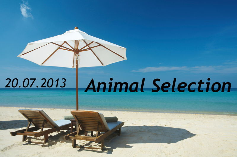 Party Flyer ॐ Animal Selection ॐ Holiday Editionॐ In-und Outdoorॐ 20 Jul '13, 22:00