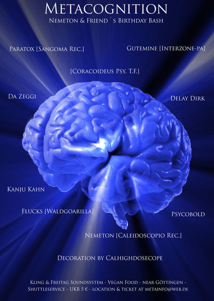 Metacognition (Nemeton & Friends Birthday Bash) 23 Aug '13, 21:00