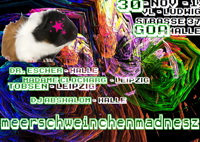 1. hallenser Meerschweinmadness · 30 Nov '13, 22:00