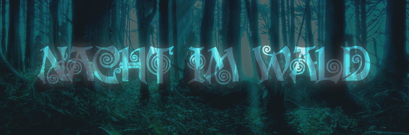 Party Flyer NACHT IM WALD *SECRET LOCATION* 20 Jun '14, 22:00