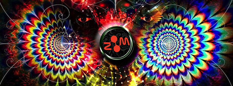 Party Flyer ZOOM REMEMBER - 31 GENNAIO 2015 - FREE BAR 31 Jan '15, 22:00