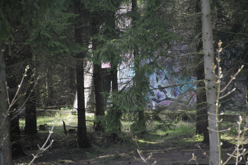 Zurück zu den Wurzeln Festival 2016@Secret Forest 9 Jun '16, 16:00
