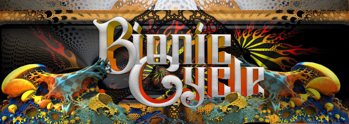 chita bionic cycle price