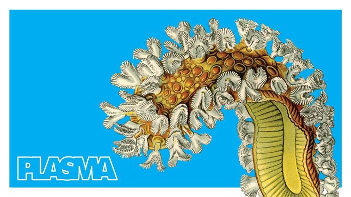 Plasma X Module Virus X Antagon X IfZ · 8 Dec '17, 23:59
