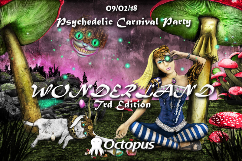 Party Flyer Wonderland ۞ Trd Edition 9 Feb '18, 23:00