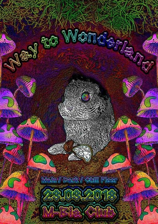 Party Flyer Way to Wonderland 23 Mar '18, 23:00