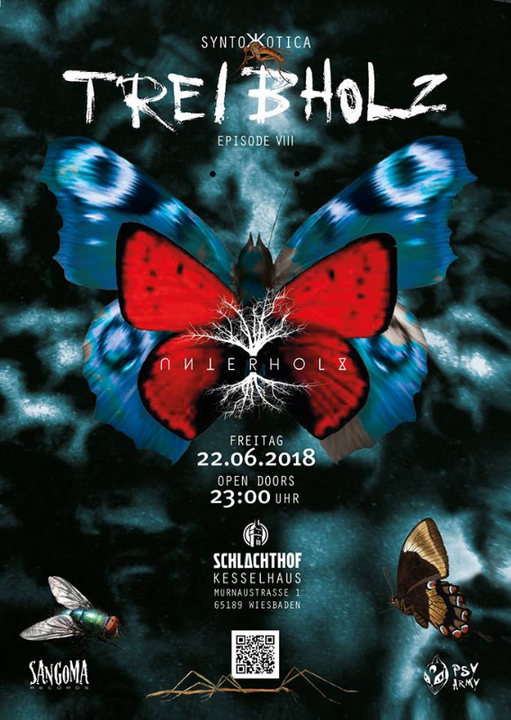 Treibholz VIII - "Syntoжotica" - Kabayun LIVE · 22 Jun '18, 23:00