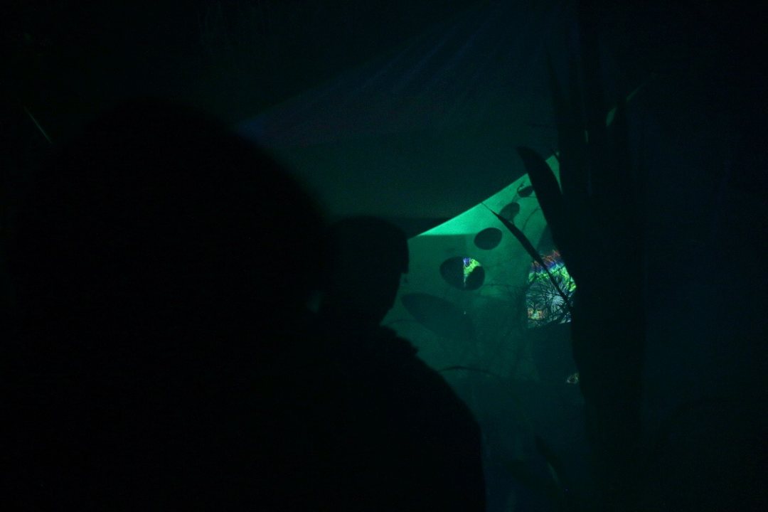 FractAliens' Abduction · 17 Aug 18, 21:00