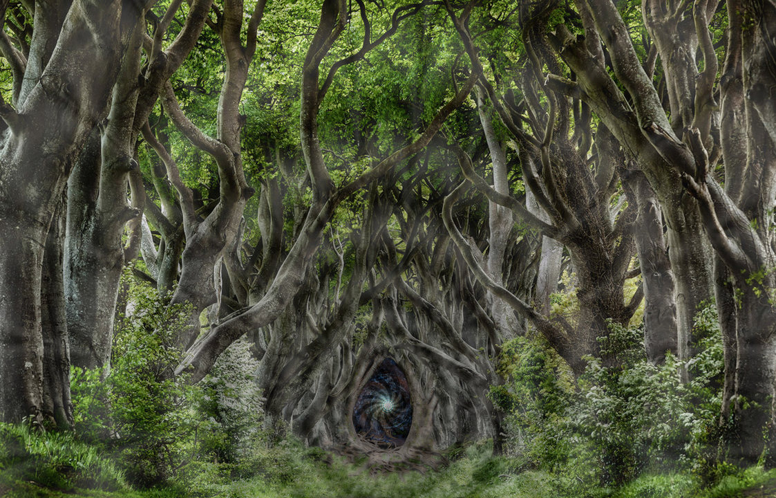 Trancezendenz (open air) · 29 Sep '18, 17:00