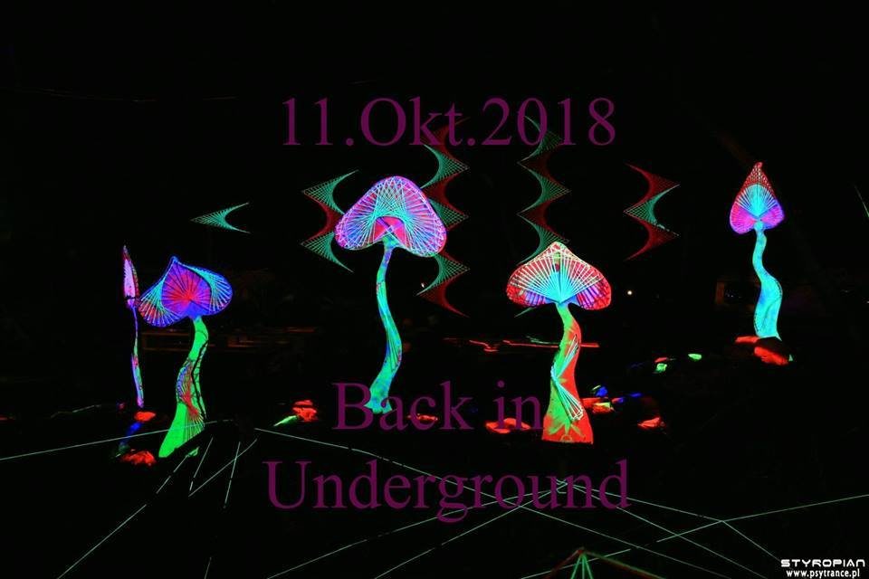 Party Flyer Back in Underground 11 Oct '18, 21:00