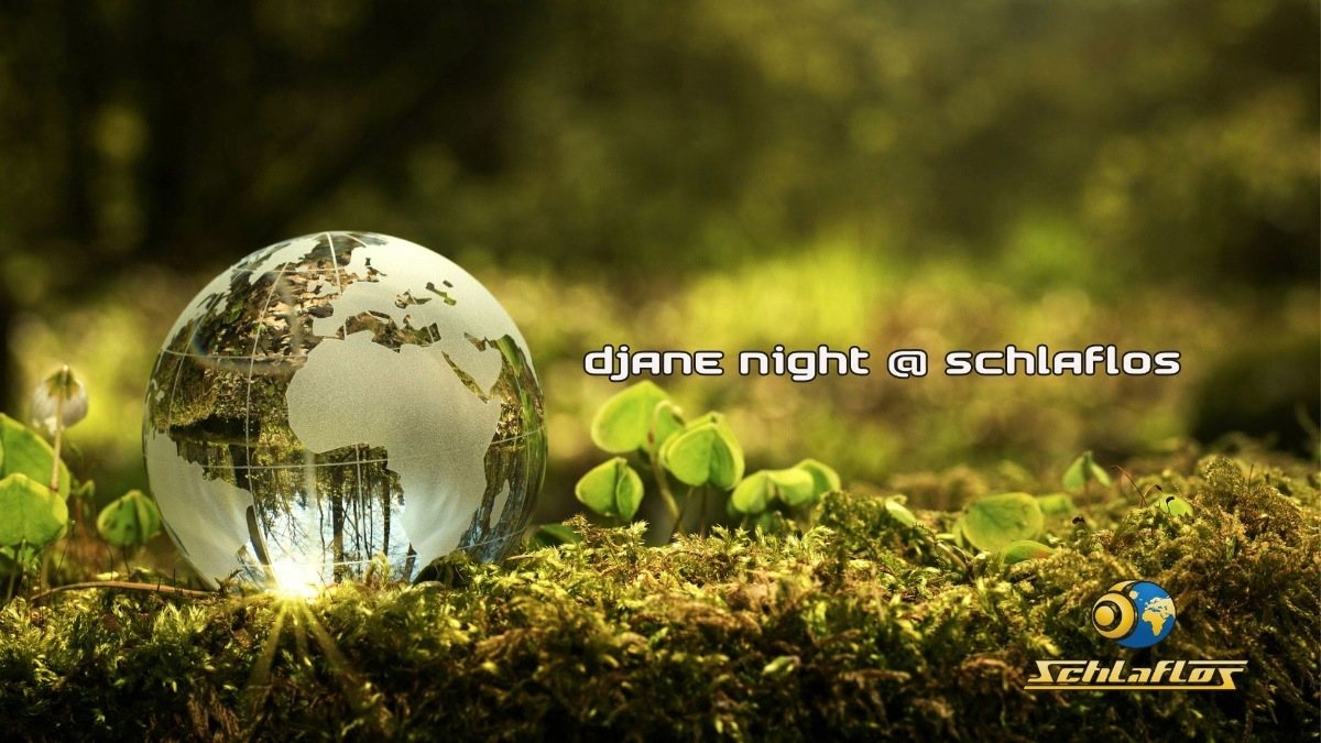 Party Flyer Djane Night at Schlaflos 24 Nov '18, 23:00