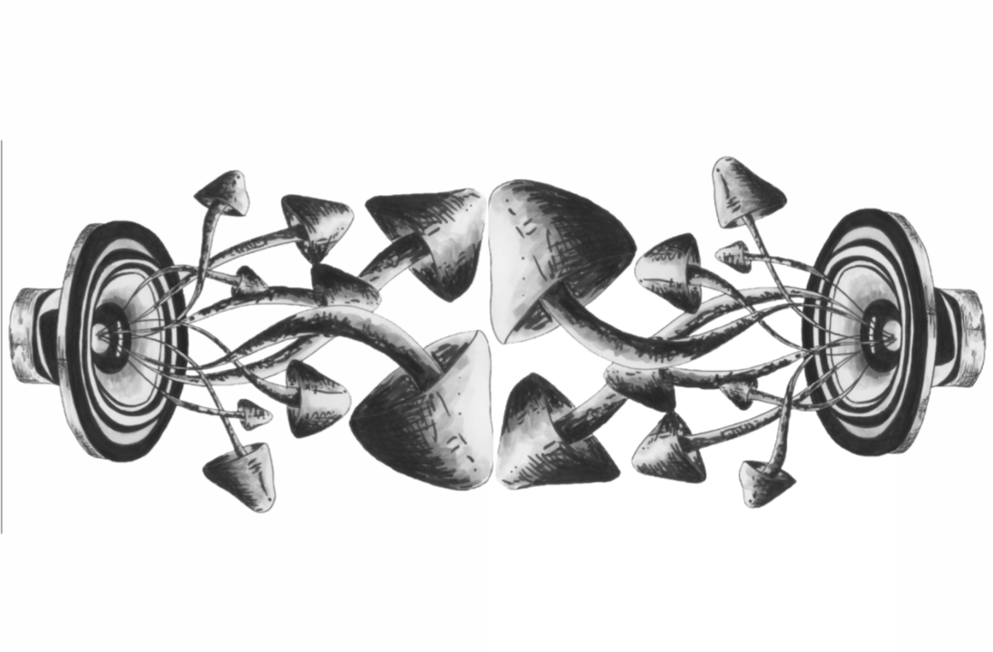 KultNoise · 26 Jan 19, 22:00