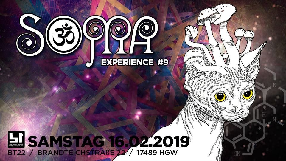 Party Flyer 16 Soma-Experience #9 16 Feb '19, 23:00