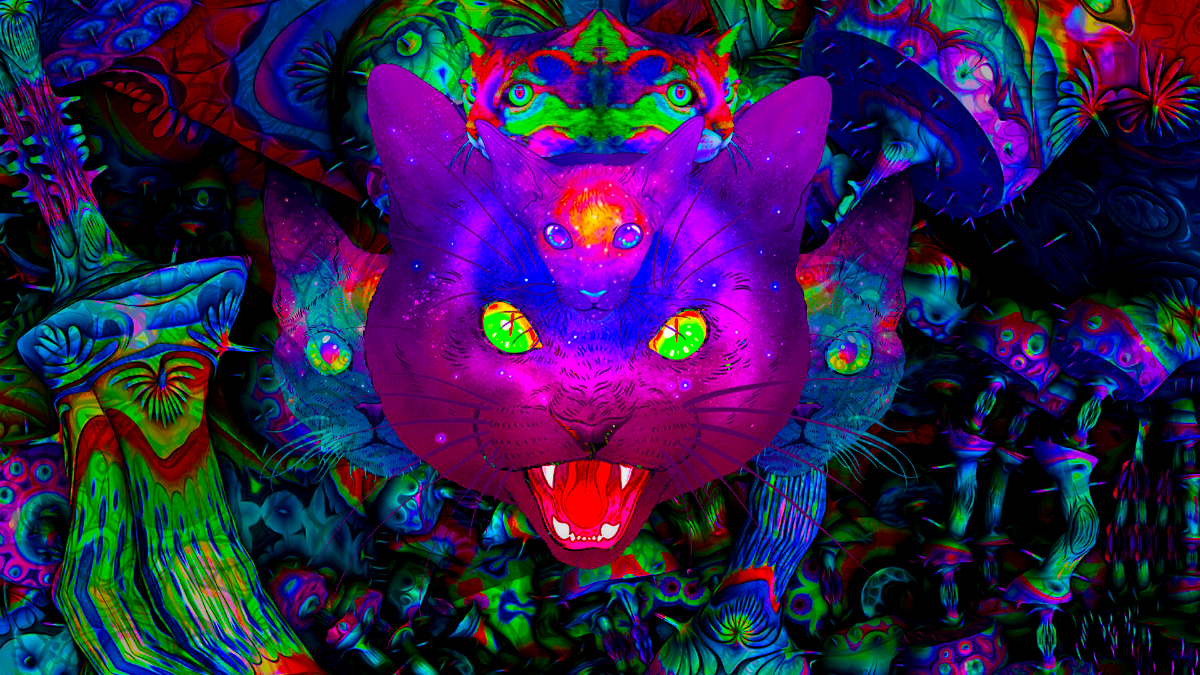 PSY CAT - High Roller / StörKlänge / Hair Cutter · 12 Apr '19, 23:00