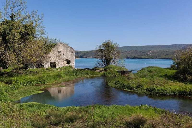 Istra 'n' Kvarner tribal gathering · 4 May '19, 19:00