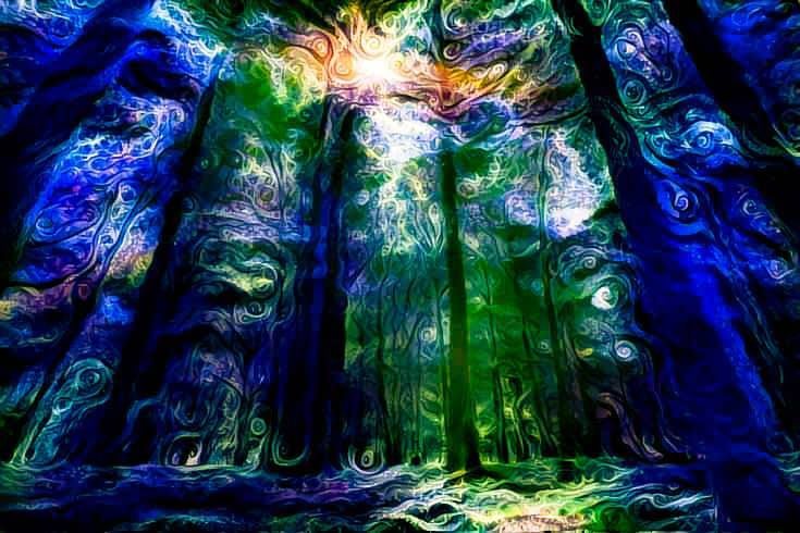 *+-The Lucid Forest-+*: StRanGe DrEaMs*+-ॐ 10 May '19, 22:00