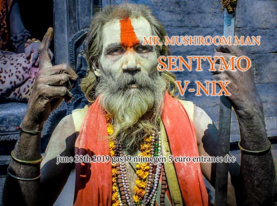 Quantum Tribe (journey into psytrance) · 28 Jun '19, 23:00