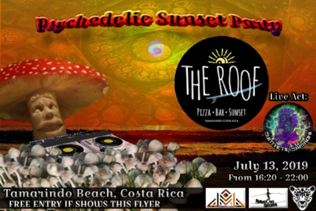 Psychedelic Sunset Party. The Roof Restaurant. Tamarindo Beach · 13 Jul '19, 16:00