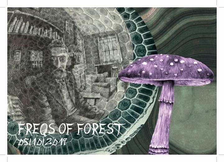 freqs of forrest · 5 Oct '19, 22:00
