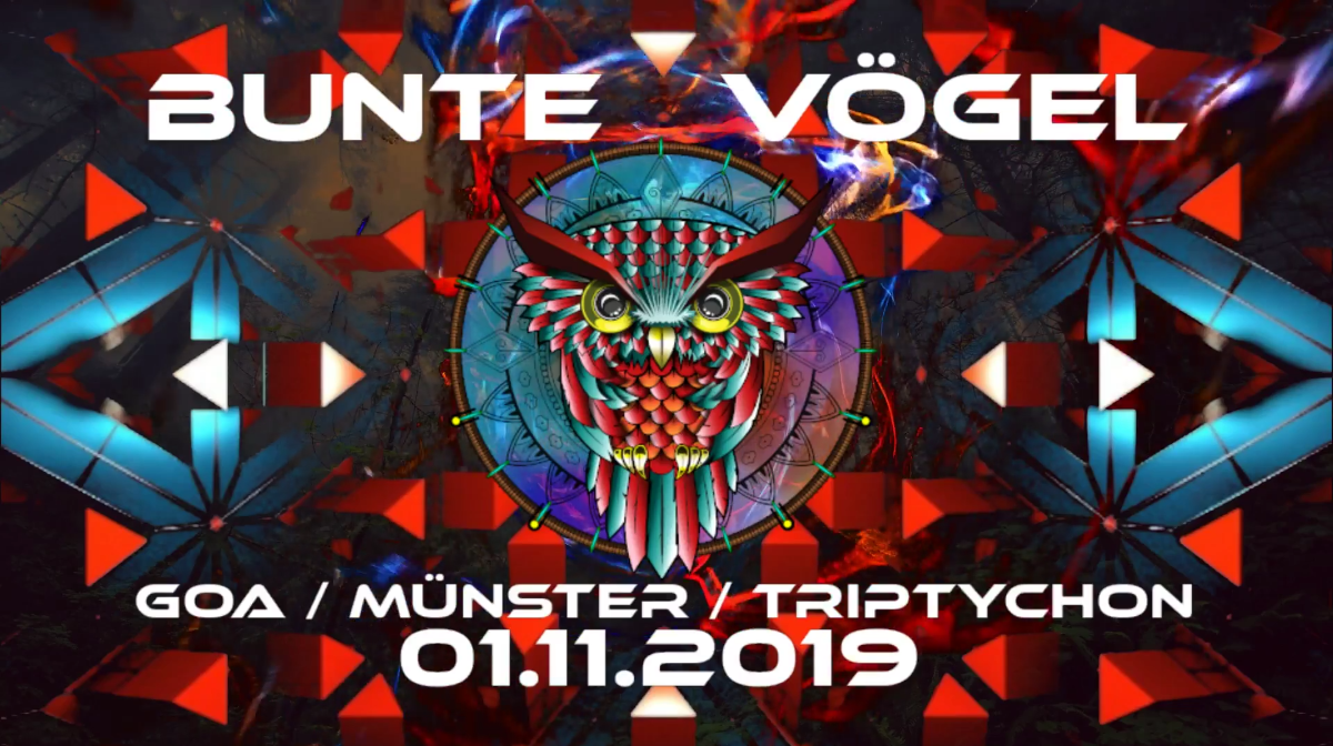 Bunte Vögel · 1 Nov 19, 23:00
