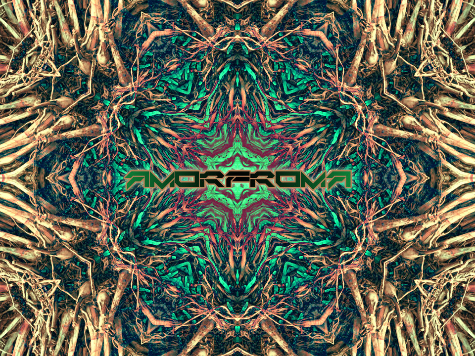 Amorfroma · 22 Nov '19, 22:00