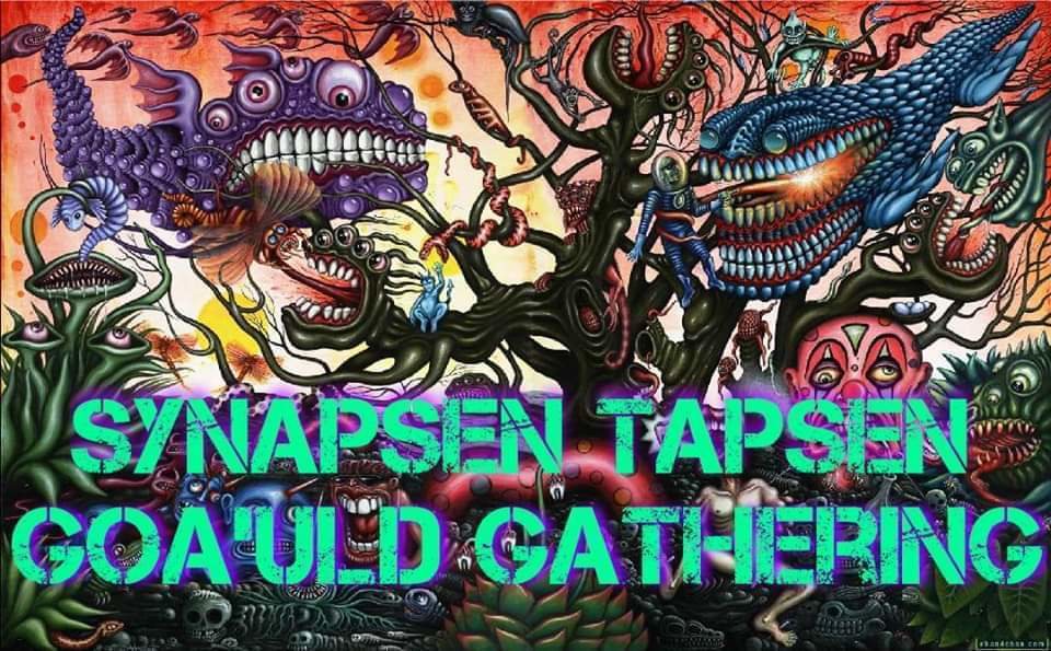 Synapsen Tapsen // GOA'ULD GATHERING · 30 Nov 19, 22:00