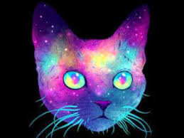 Party Flyer Psy Cat 13 Dec '19, 23:00