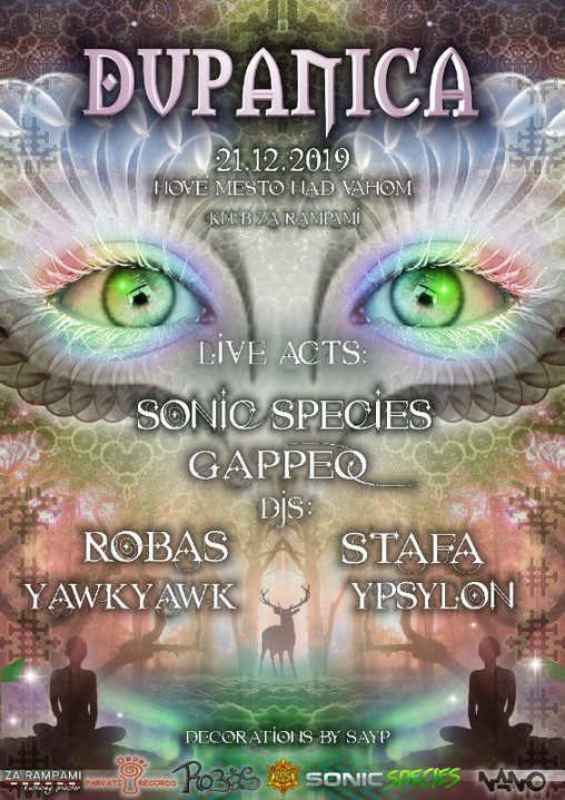 Party Flyer DuPaNiCa - Sonic Species & Gappeq live! //21.12. NMnV// 21 Dec '19, 21:00