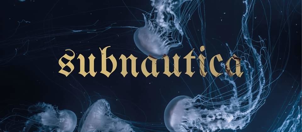 Party Flyer Subnautica 4 Jan '20, 23:00
