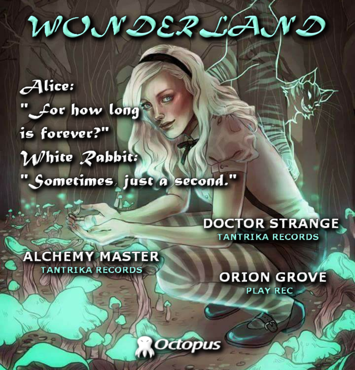 Party Flyer Wonderland ۞ return to the rabbit hole 22 Feb '20, 19:30