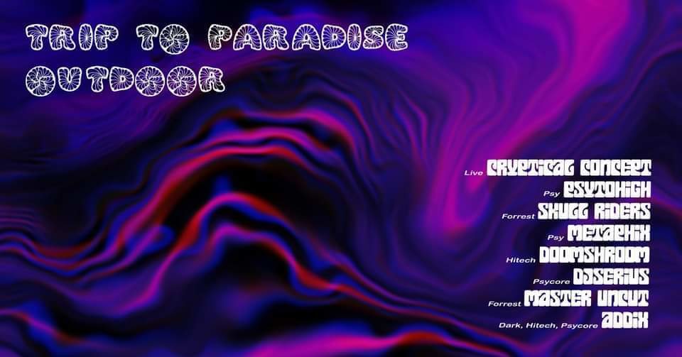 Who is coming? · Trip To Paradise /W Cryptical Concept Live