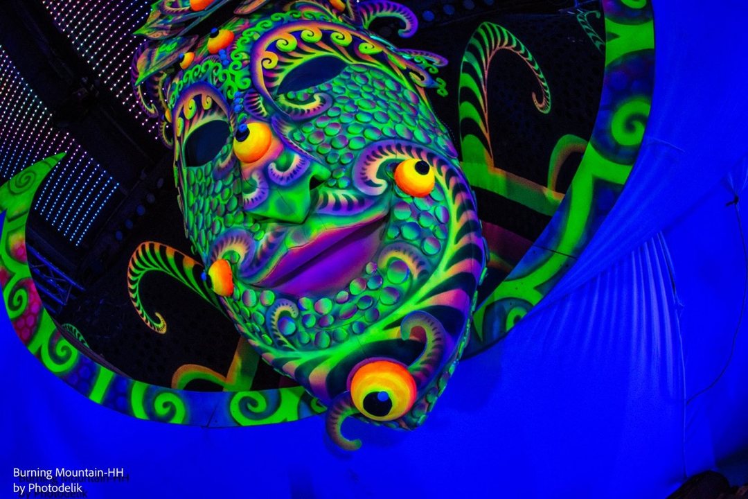 Party Flyer Psychedelic Carnival 13 Feb '21, 22:00