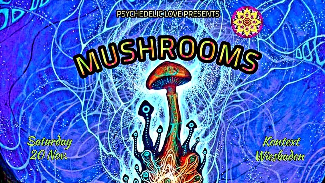 Mushrooms · 20 Nov 21, 23:00