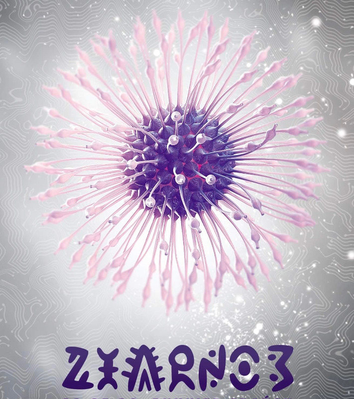 Ziarno 3 - Be Psychedelic & Techenko & Egoistik w klubie Bunkier · 5 Feb 22, 21:30