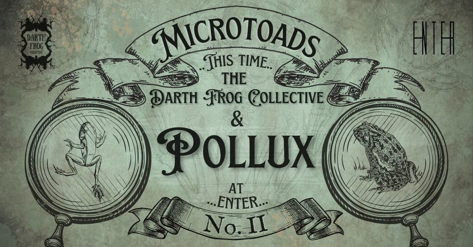 Darth Frog Collective's Microtoads No. II · 14 May '22, 22:00