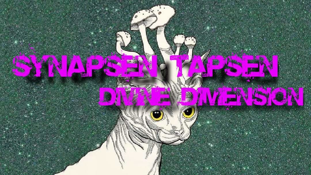 SYNAPSEN TAPSEN // DIVINE DIMENSION · 30 Jul '22, 22:00