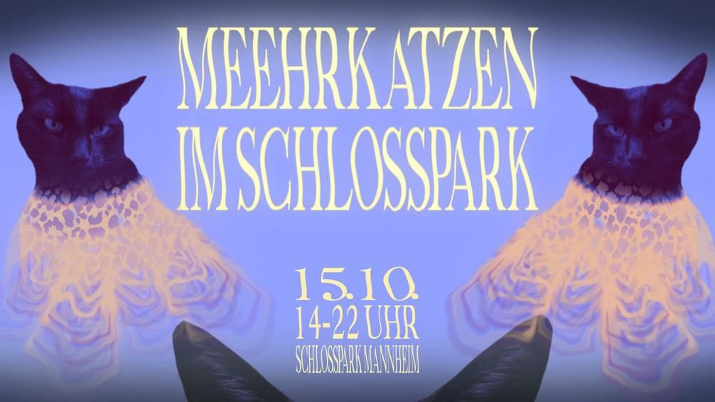 Meehrkatzen im Schlosspark · 15 Oct '22, 14:00