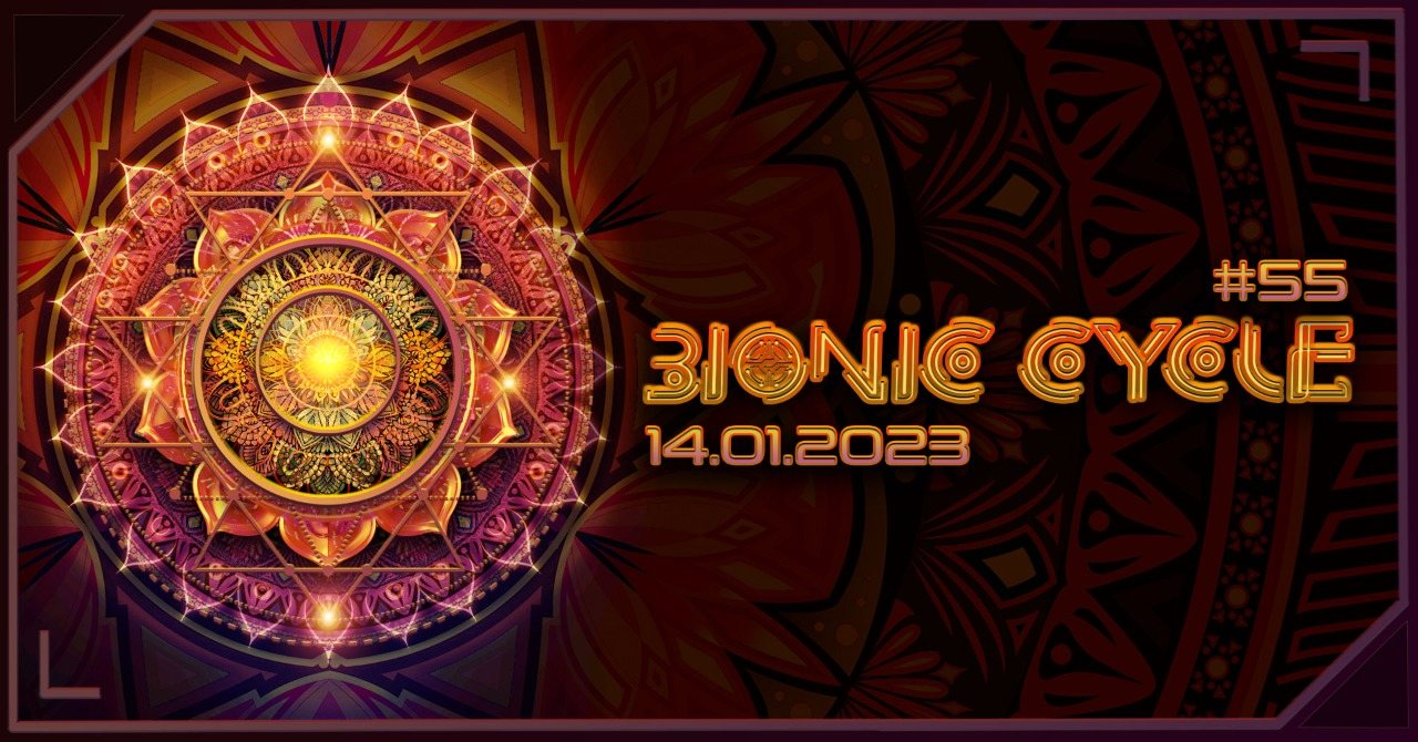 chita bionic cycle price