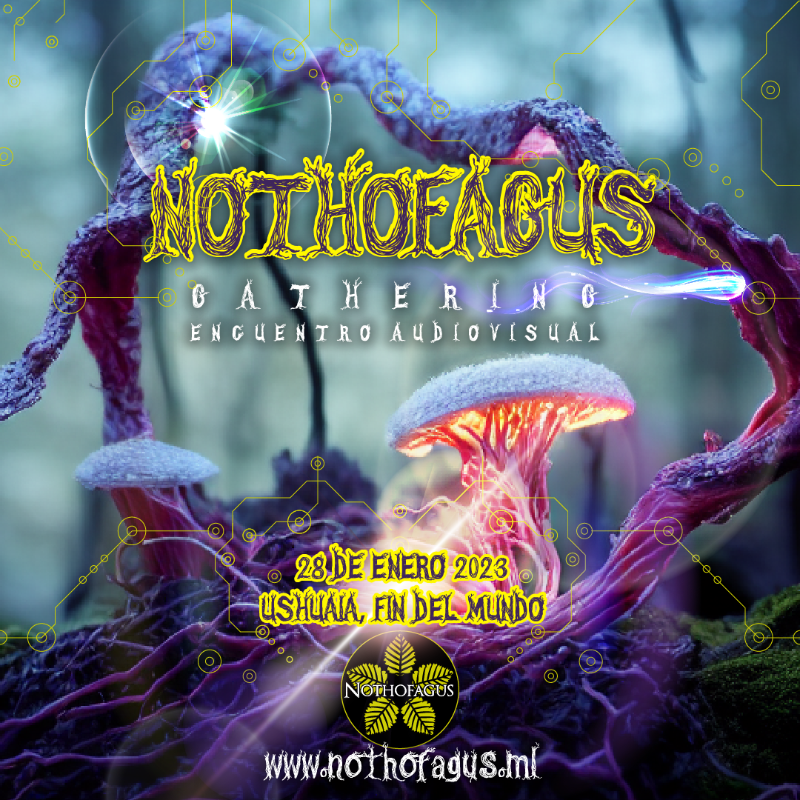 Nothofagus Gathering · 28 Jan 23, 12:00