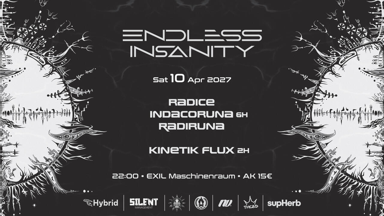 Flyer of Endless Insanity IV • RADICE, INDACORUNA, RADIRUNA, KINETIK FLUX