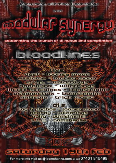MODULAR SYNERGY - Looney Moon, Wildthings and Bomshanka  · 19 feb 11, 22:00