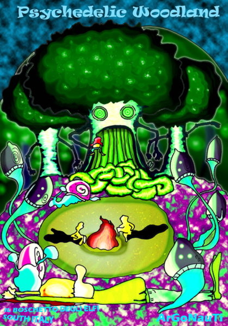 Psychedelic Woodland · 6 Aug 11, 17:30