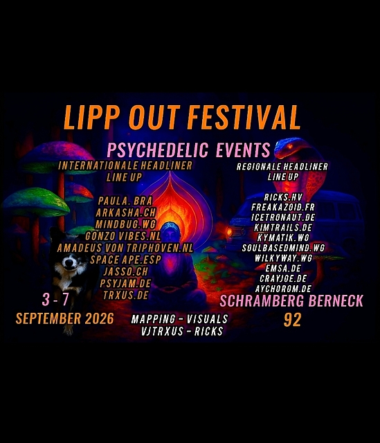 Image from flyer/large