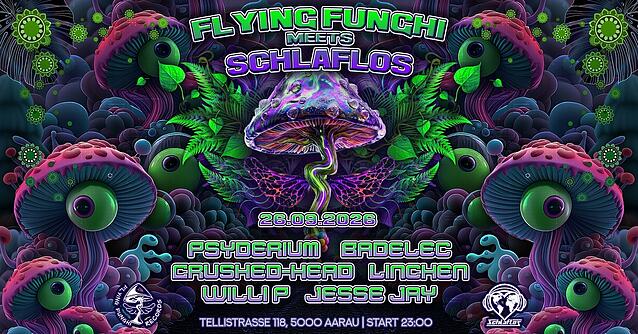 Flying Funghi Meets Schlaflos · 2 Oct 26, 22:00