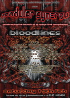 MODULAR SYNERGY - Looney Moon, Wildthings and Bomshanka  · 19 feb 11, 22:00